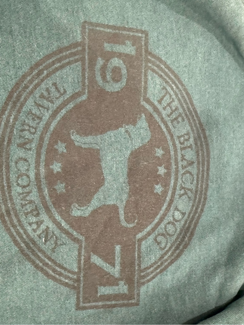 The Black Dog Teal Pullover Hoodie with Subtle Logo - Picture 13 of 13